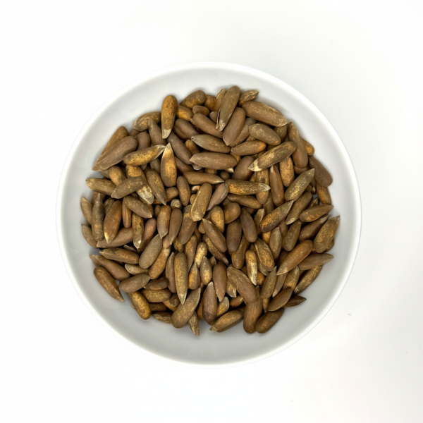 Organic Pine Nut in Shell - Image 1