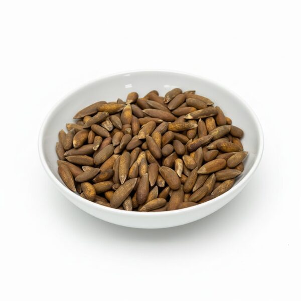 Organic Pine Nut in Shell - Image 4