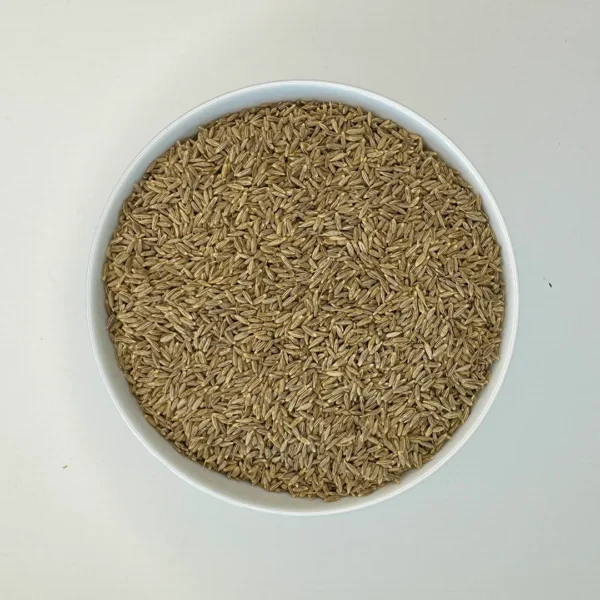 Cumin Seed