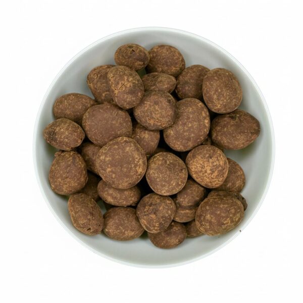 Dark Chocolate Cherry - Image 1